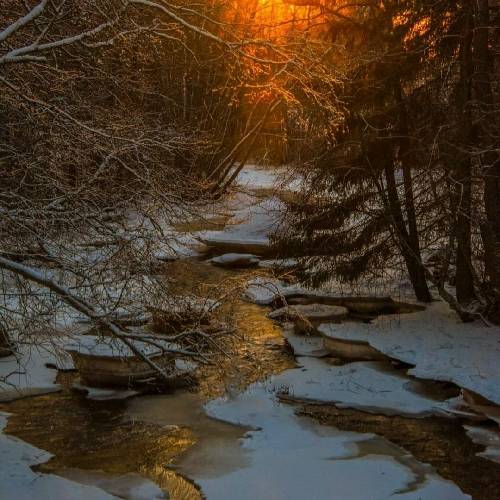 موتورت پیکان موتورم کامارو شدم اعتبار نسل چهار و کش چیه بده دُنگ ناهار رو